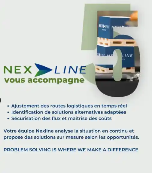 Global Logistics Disruptions: Nexline Solutions to Secure Flows and Reduce Supply Chain Costs