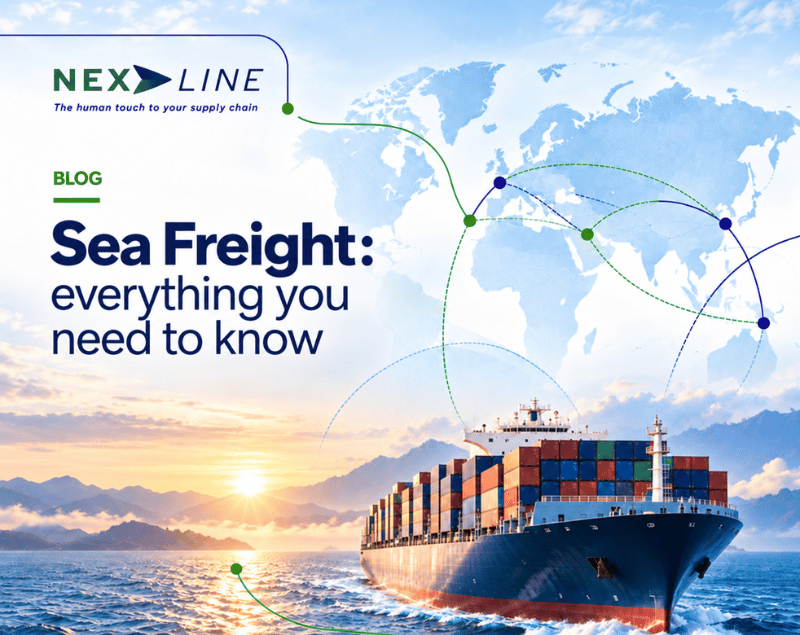 Nexline illustration of a container ship at sea with a world map in the background for a blog article about sea freight.